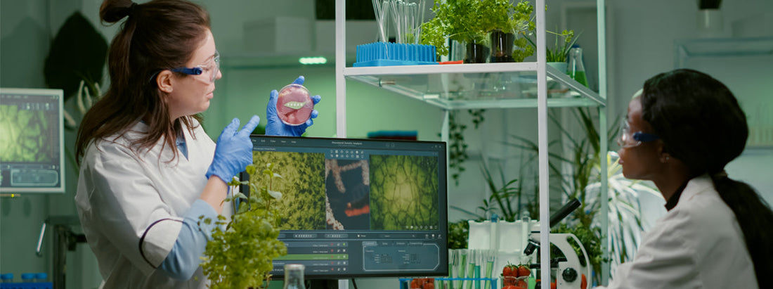 Innovations and Modern Growth